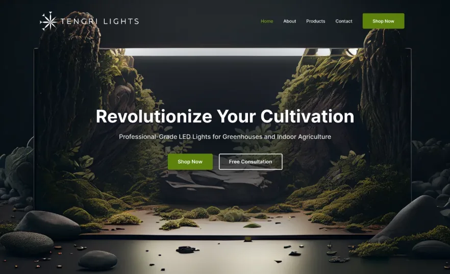 Tengri Lights case study preview